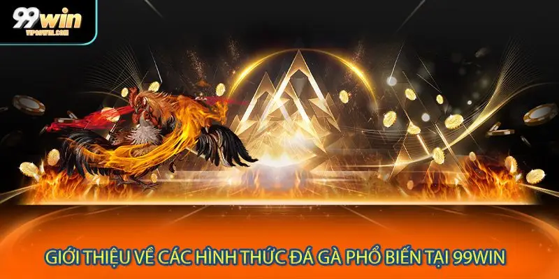 Giới thiệu về các hình thức đá gà phổ biến tại 99WIN 